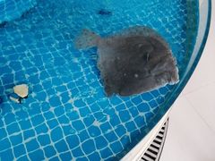 -必点蒸汽海鲜(止锚湾店)