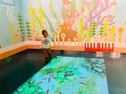 点击看大图 -北京科学中心儿童乐园