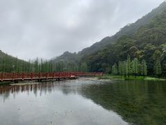 -广州市石门国家森林公园