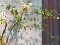 -BOCATA 西班牙餐厅(三里屯店)