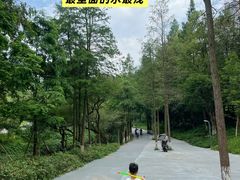-重庆彩云湖湿地公园