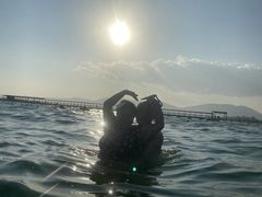 -三亚湾海居铂尔曼度假酒店