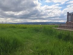 -敕勒川草原