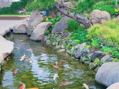 -罗红摄影艺术馆