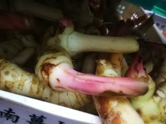 -安记印尼土产商店