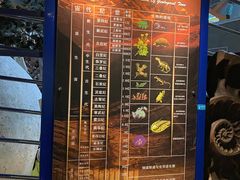 -河南自然博物馆