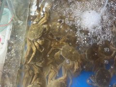 -祥鹤龙虾螃蟹