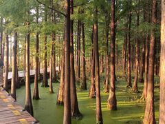 -云龙湖旅游景区