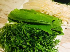 -汤城·料青山