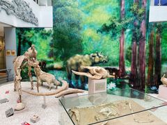 -中国地质大学逸夫博物馆