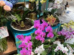 -BoBloom花店(晶耀前滩店)