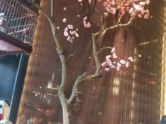 景观位-老板恋上鱼(印象城店)