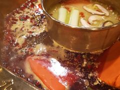 -蜀九香火锅(彩虹店)