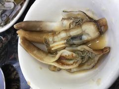 圣子王-蚝专家