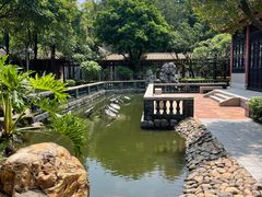 -顺峰山公园