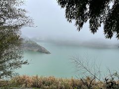 -长沙黑麋峰国家森林公园