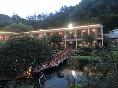 -花果山庄•现烤荔枝柴烧鹅
