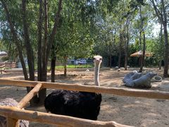 -大连森林动物园