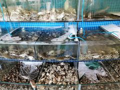 水产区-蟹谢蒸鲜自助餐厅