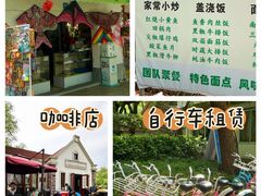 -上海共青森林公园