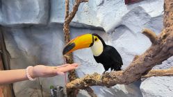 -Zoolung Zoolung动物主题公园(海信广场店)