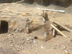 -大青山野生动物园