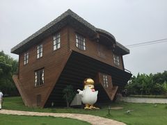 -金山农民画村-枫泾波兰倒置屋