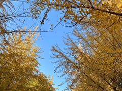 -辽宁大学(崇山校区)