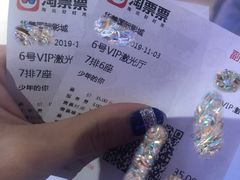 -华美国际影城(旧宫永辉店)