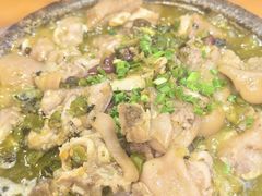 石锅烧椒蹄花-郑件洋芋饭庄