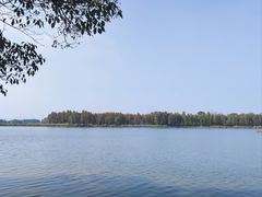 -东湖落雁景区