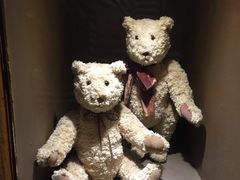 -济州岛泰迪熊博物馆