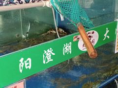 -阳澄湖大闸蟹·琼灵阁牌品牌连锁(吴中总店)