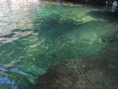 -龙湾潭国家森林公园
