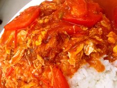 西红柿鸡蛋盖浇饭-闫家炸鸡架(五爱总店)