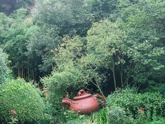 -十八棵（老龙井）御茶园(老龙井店)