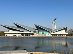 -盐城丹顶鹤湿地生态旅游区