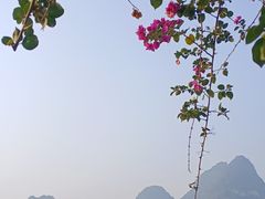 -靖西鹅泉风景区