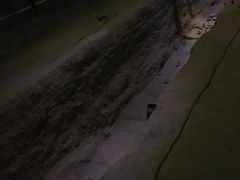 -汉景帝阳陵博物院