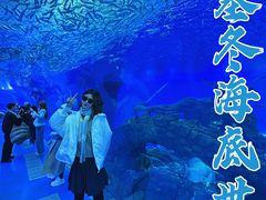 -哈尔滨波塞冬海底世界