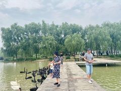 -台儿庄古城