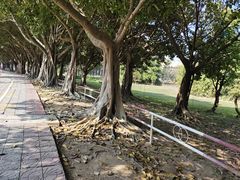 -福州大学(旗山校区)