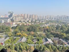 -大慈恩寺(大雁塔)