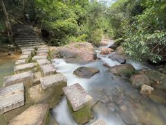 -广州白江湖森林公园