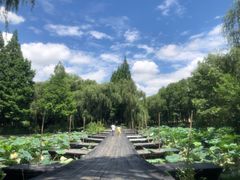 -柯岩风景区