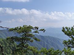 -王顺山国家森林公园