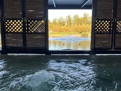 -春晖园度假酒店温泉