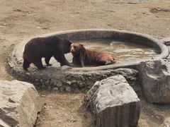 -无锡动物园·太湖欢乐园
