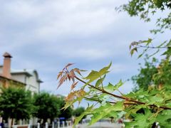 -星巴克(天津佛罗伦萨小镇店)