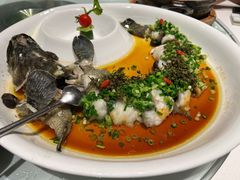 青花椒淋青斑-味茂·老船夫1927(东海东路店)